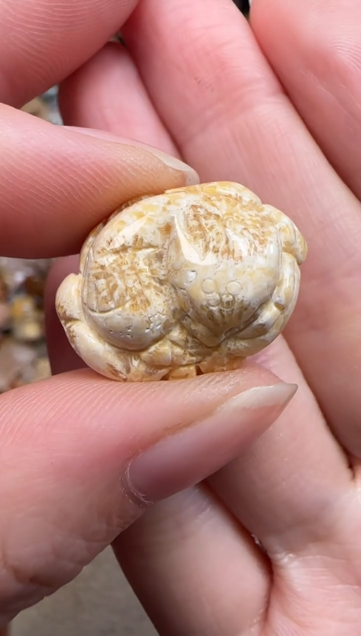 硅化珊瑚（珊瑚玉）未镶嵌颈饰373