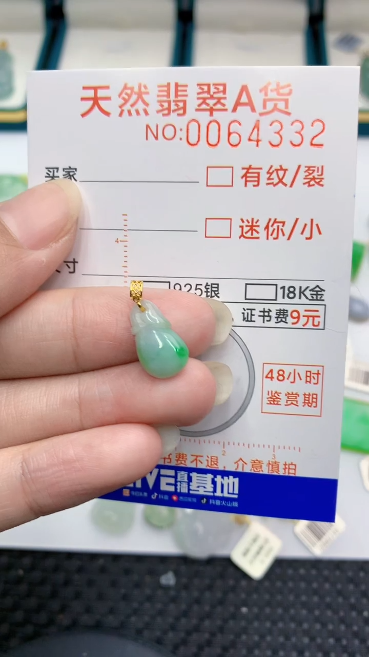 【闪购商品】翡翠颈饰18K金镶嵌            8
