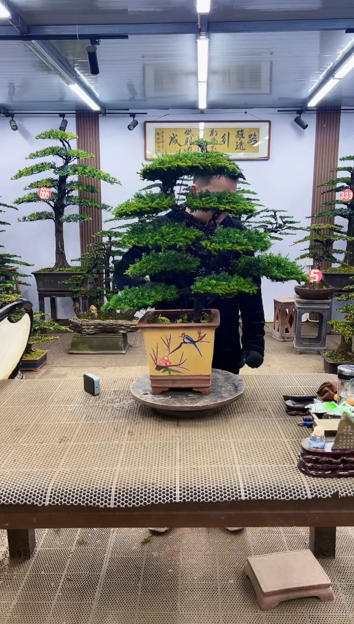 【闪购商品】00000000