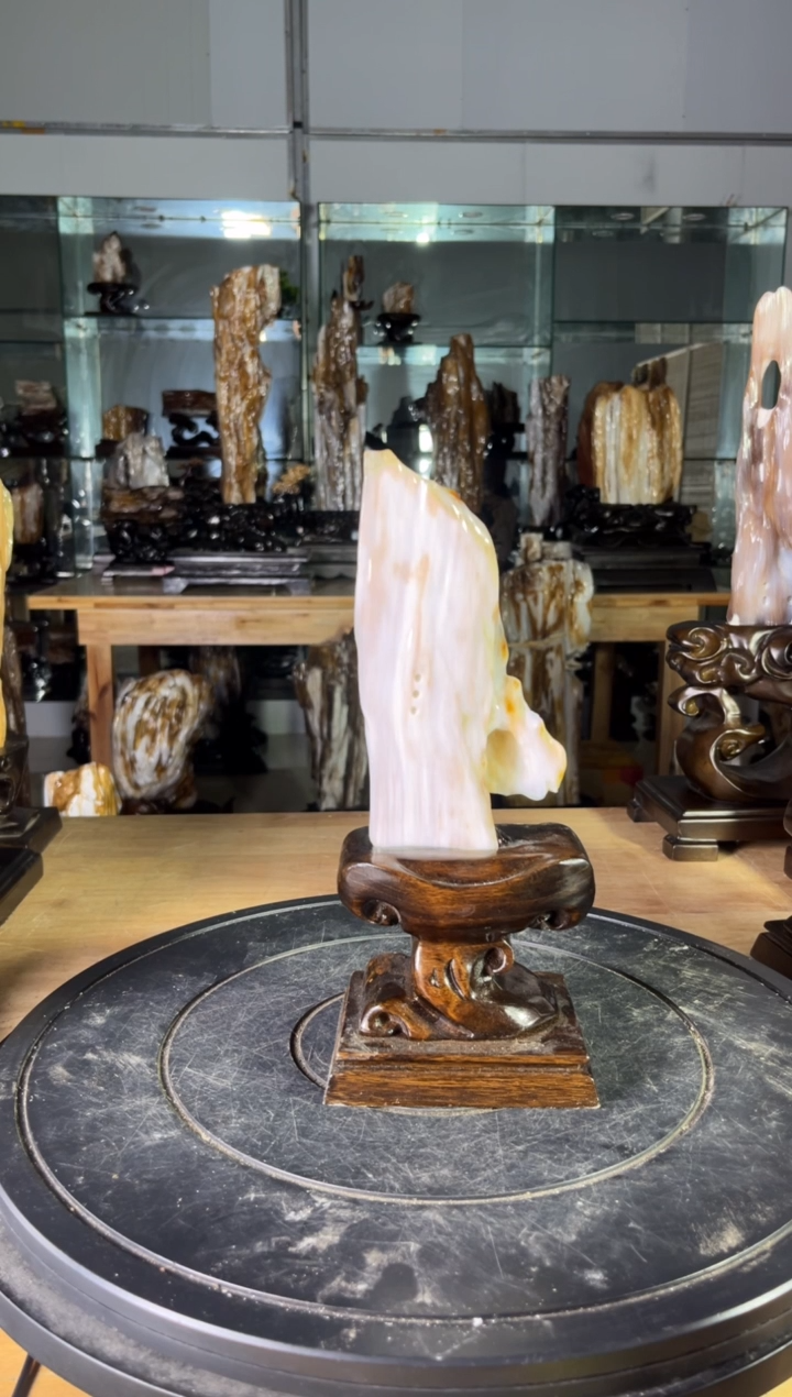 【闪购商品】硅化玉珠宝奇石未镶嵌1