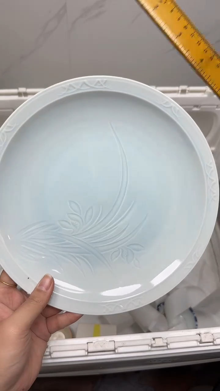 【闪购商品】1103回流瓷器默认微瑕，18.8包邮
