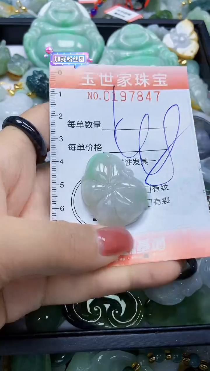 【闪购商品】翡翠颈饰未镶嵌闪购0197847