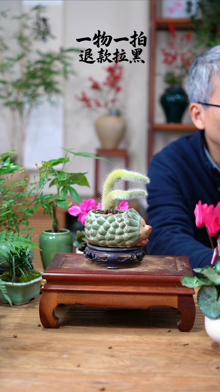 完全开放微*九尾狐135