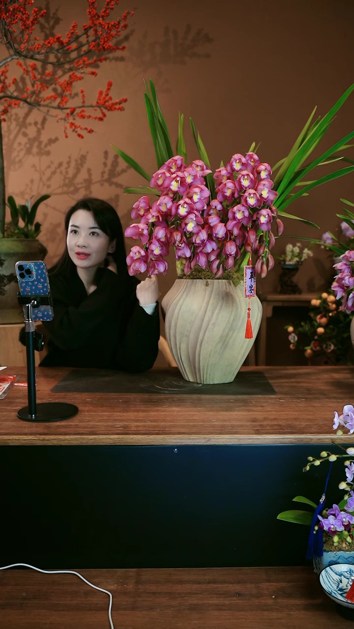 【闪购商品】盆景粉红露露 黄