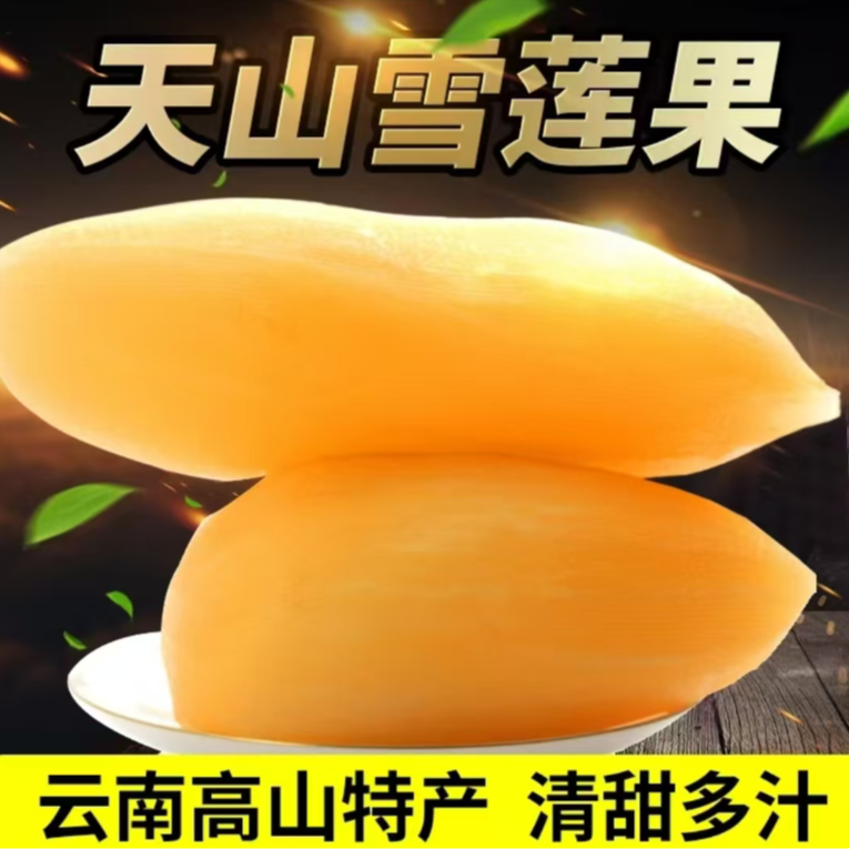 【爱心助农】头茬云南天山雪莲果新鲜现挖产地直发雪莲果坏果包赔