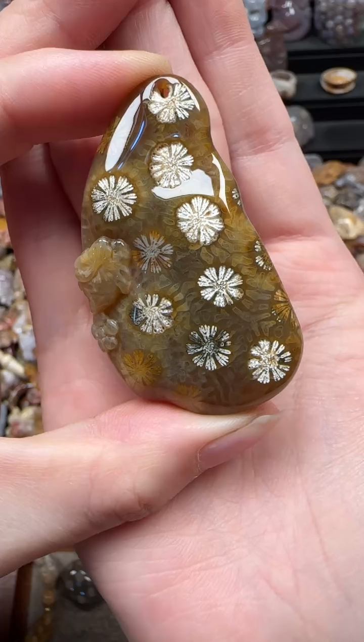 颈饰未镶嵌硅化珊瑚（珊瑚玉）224