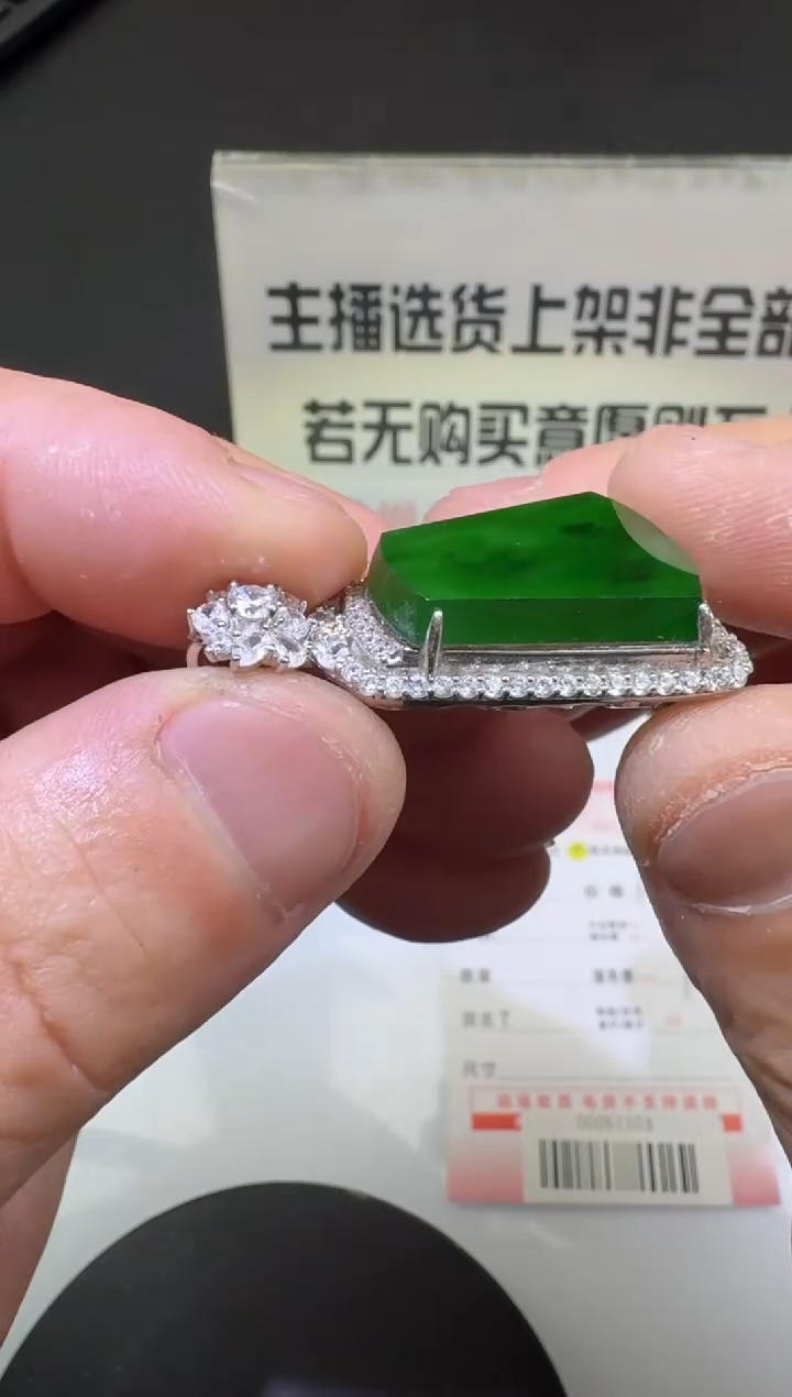 【闪购商品】翡翠颈饰银S925镶嵌00061865