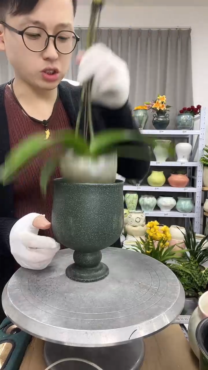 直播链接  高：17   口：11