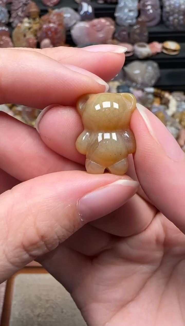 颈饰未镶嵌硅化珊瑚（珊瑚玉）269