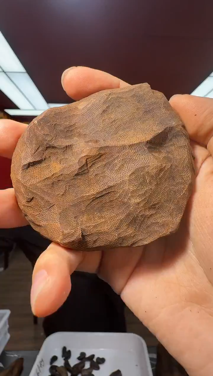 沉香吊坠y45多样性发一