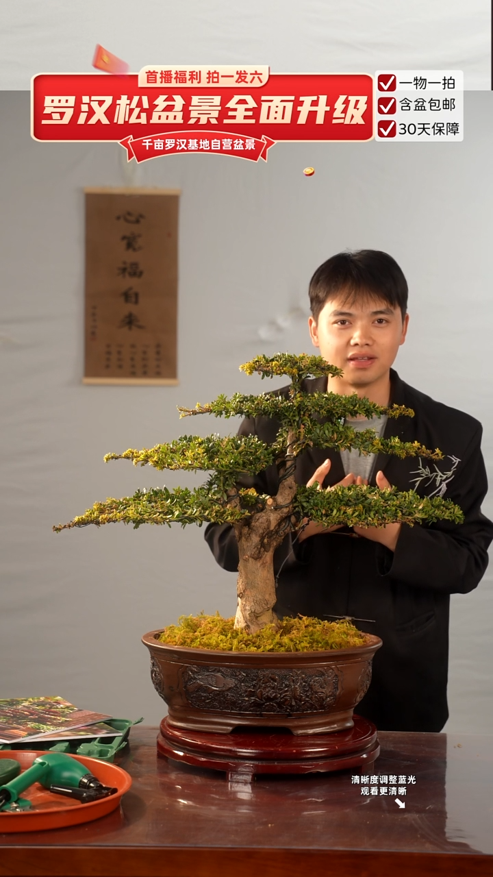 以实际为准专属于 风  大哥的闪购链接