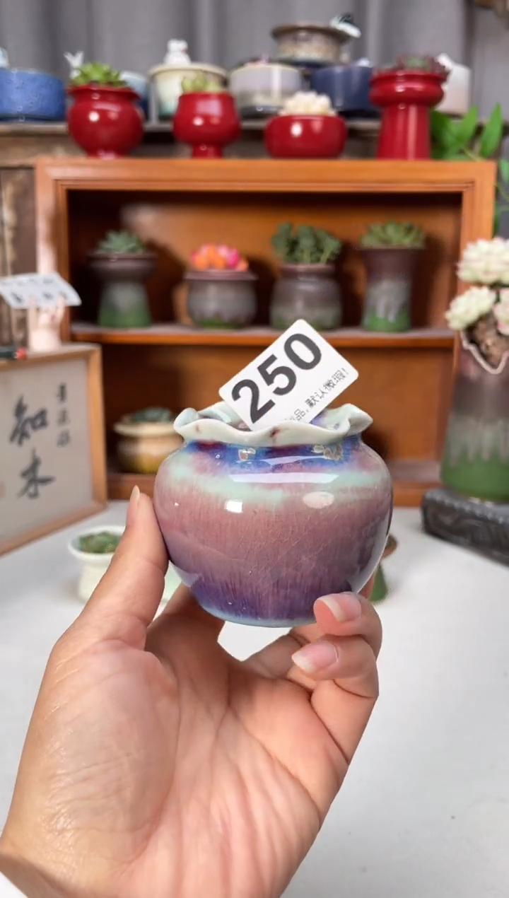 瓷片250知木小芳花盆