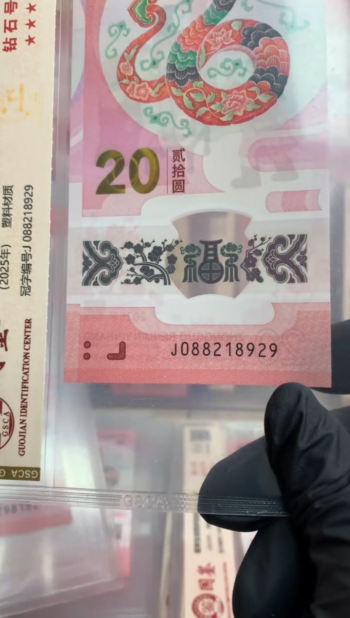 【闪购商品】塑料蛇钞 真钞【单张】8929