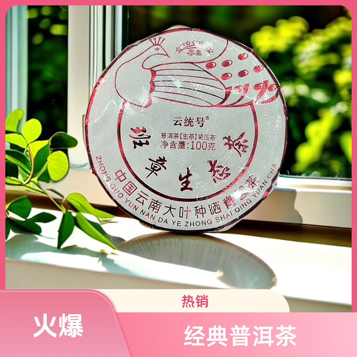 班章生态100g生茶云统号 普洱茶【苏苏专属】