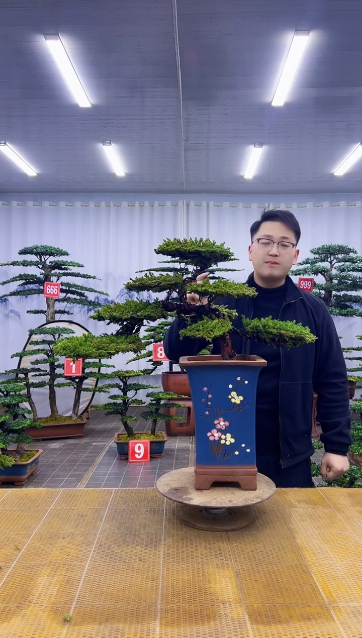 无花朵0000000000000000