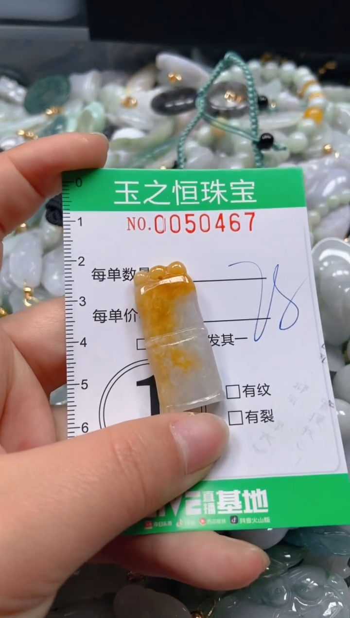 【闪购商品】翡翠颈饰未镶嵌闪购0050467