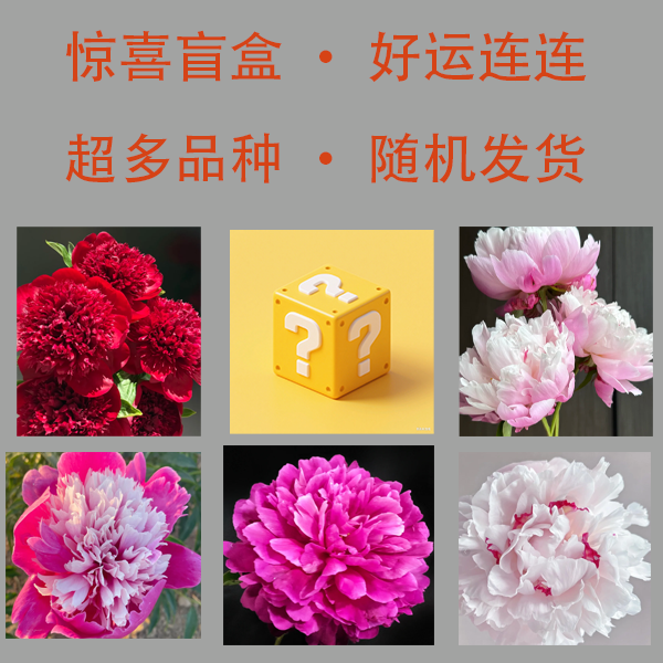 国产芍药盲盒-----随机发货（新手推荐）