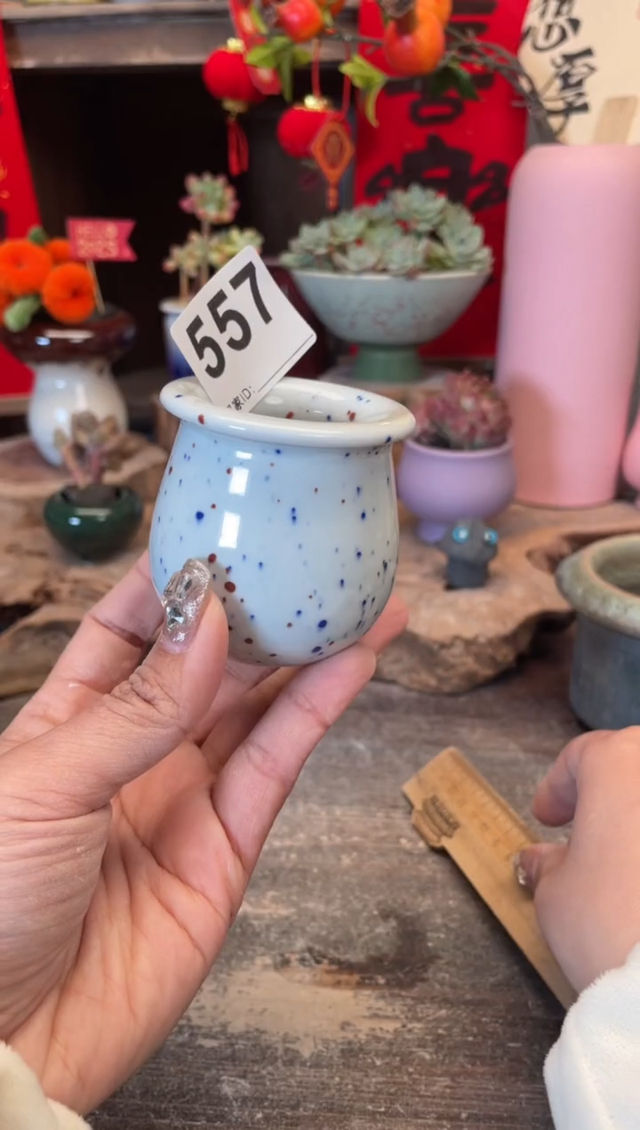 【闪购商品】摆件557知木小芳花盆