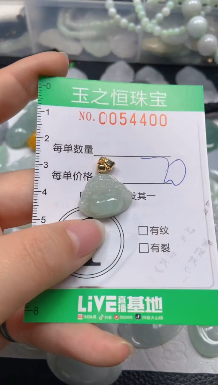 【闪购商品】翡翠未镶嵌颈饰闪购0054400