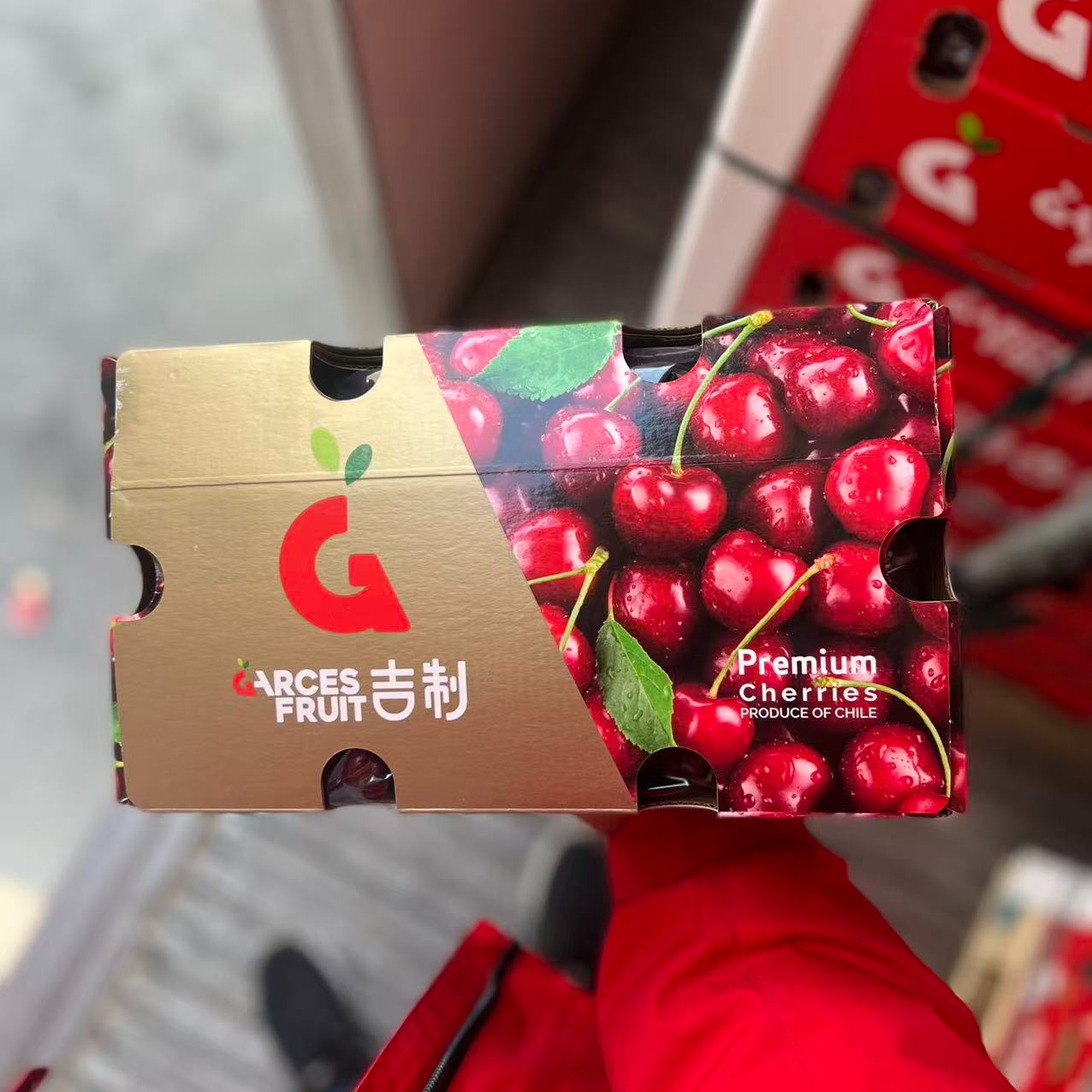 大G吉制J加大车厘子4斤装 海运 内附果径卡桑提娜智利