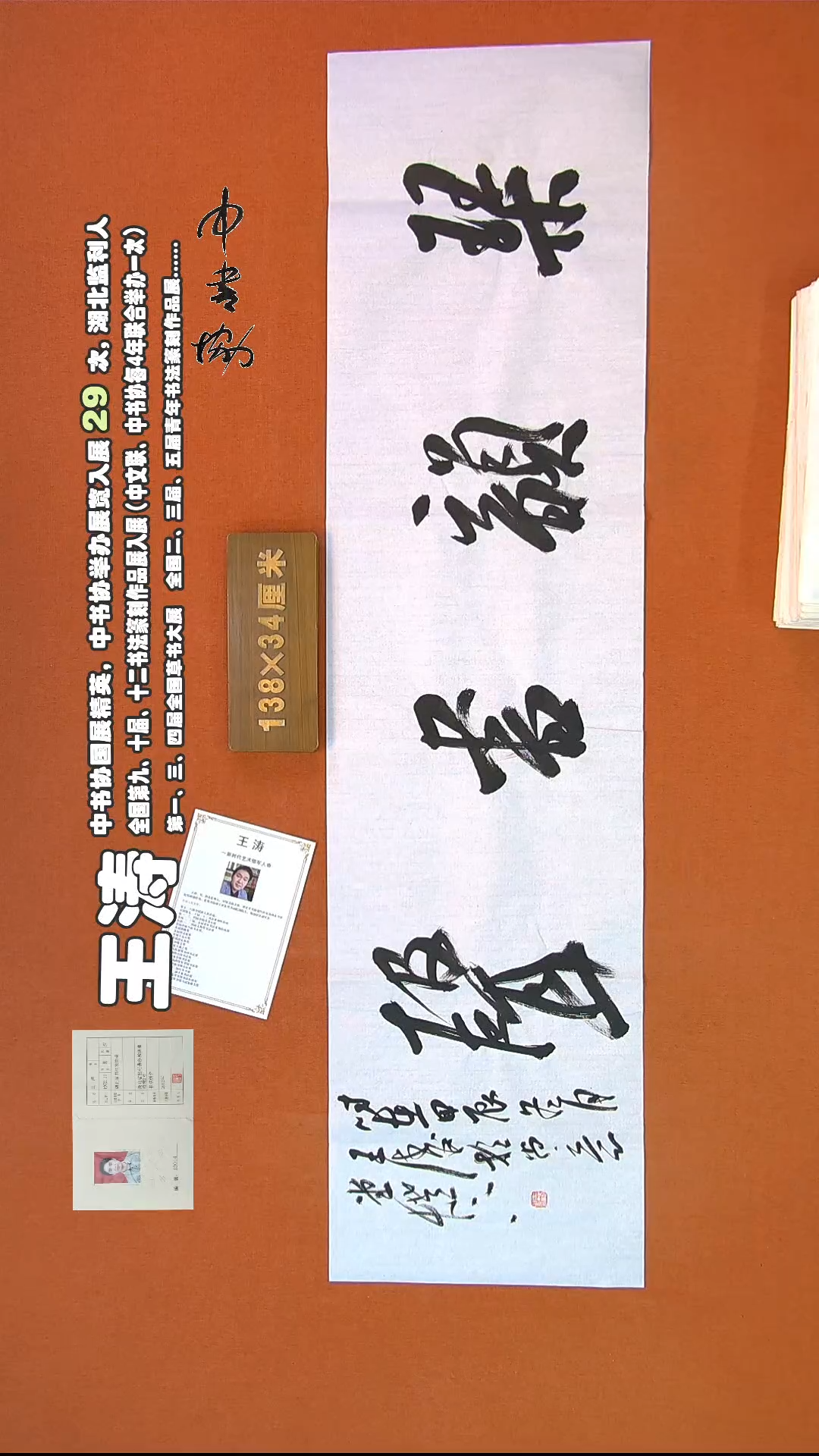 【闪购商品】书法226王涛书法作品