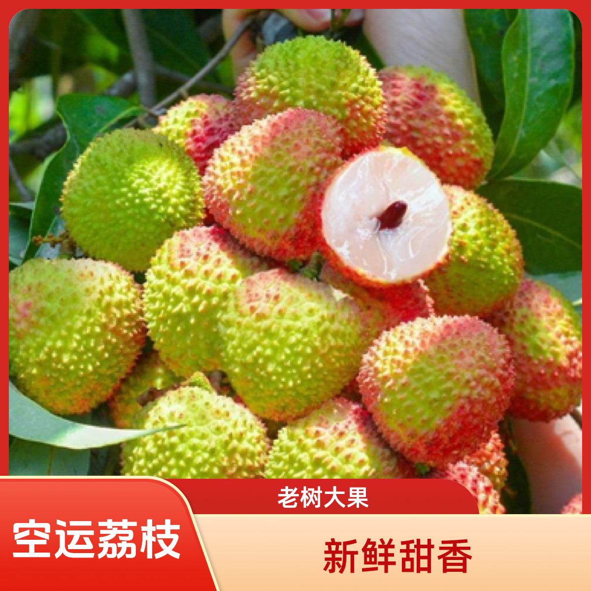 【EMS空运】现货妃子笑荔枝5斤装皮薄肉厚清甜多汁新鲜水果