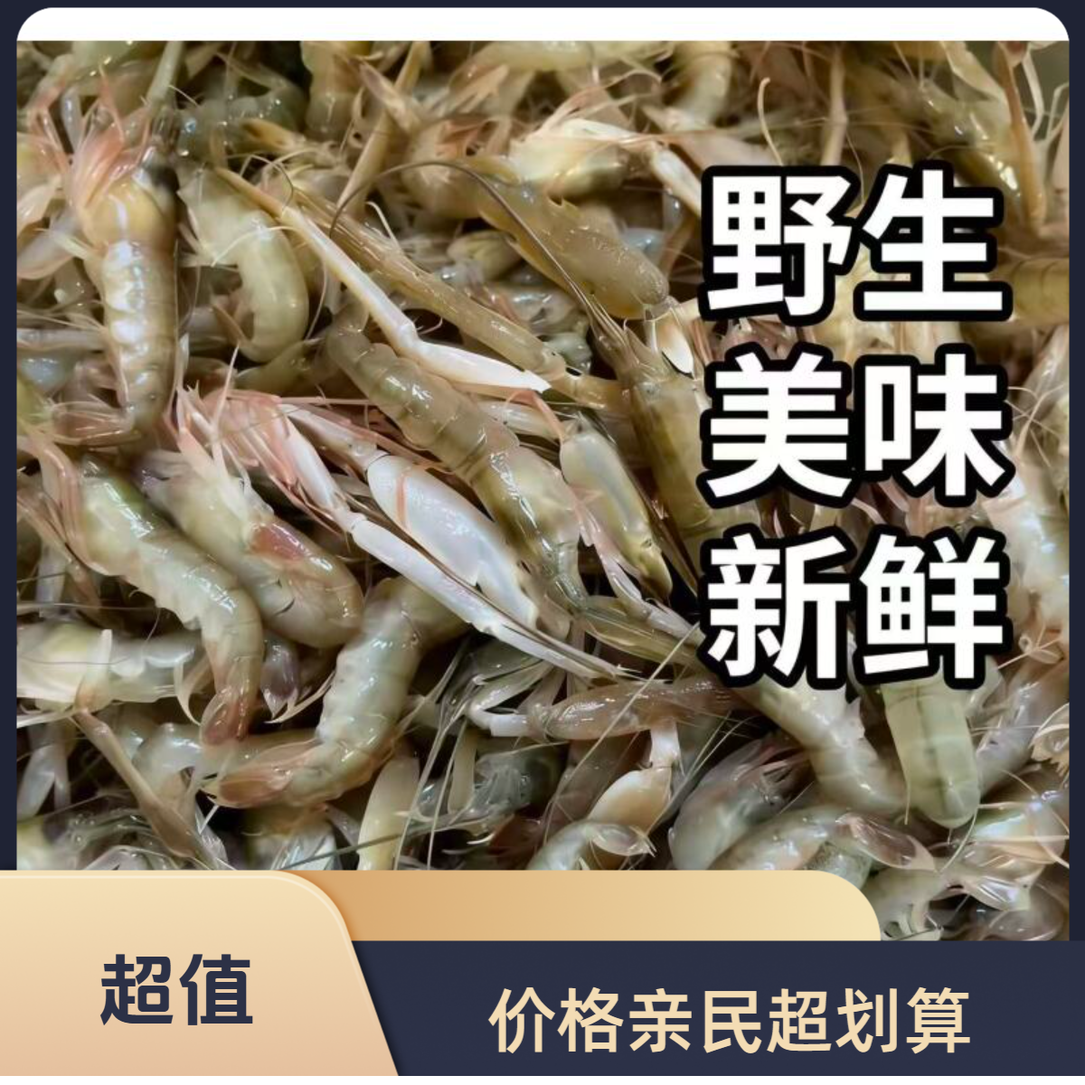 美味海捕小嘎嘣虾 夹板虾 鲜甜 肉质劲道肥美