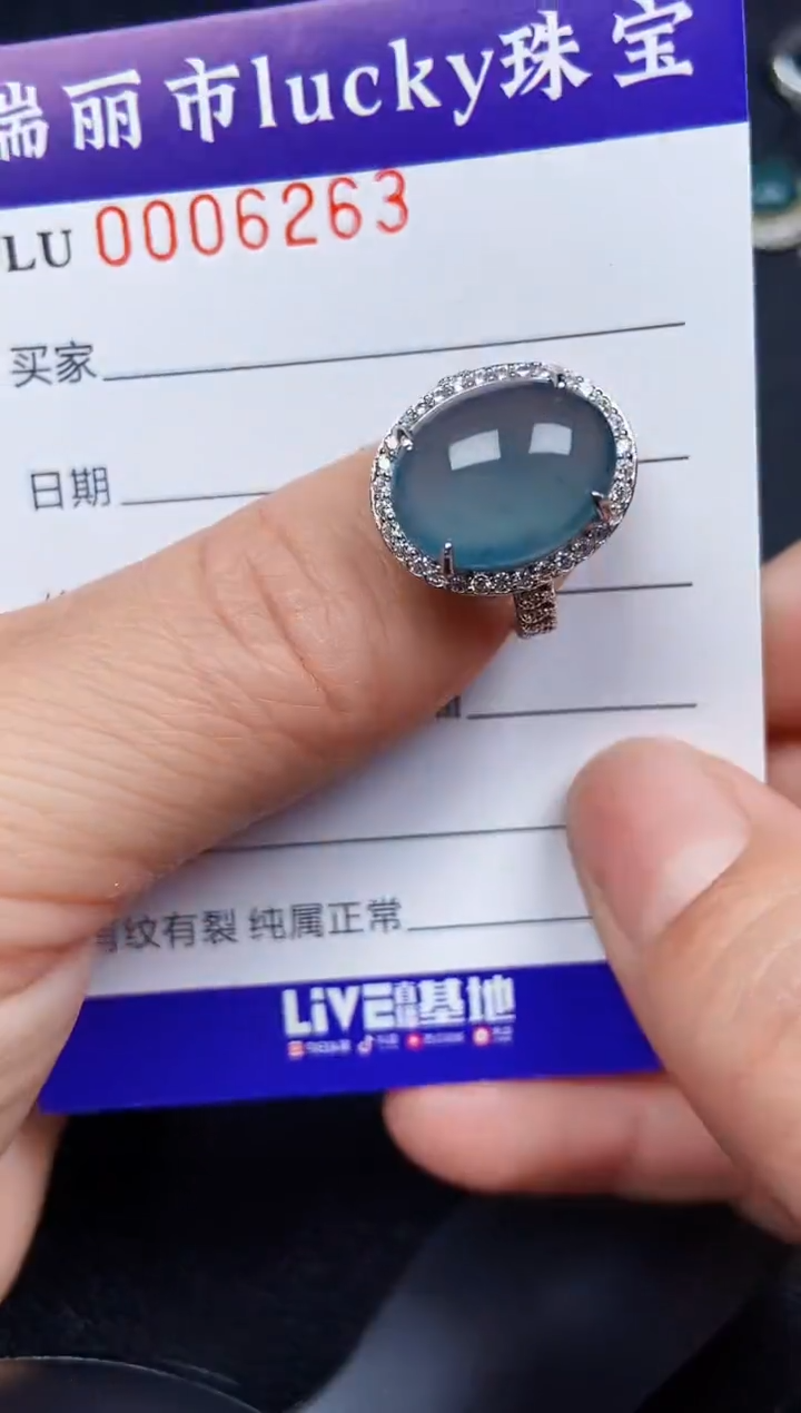 翡翠银S925镶嵌颈饰6263