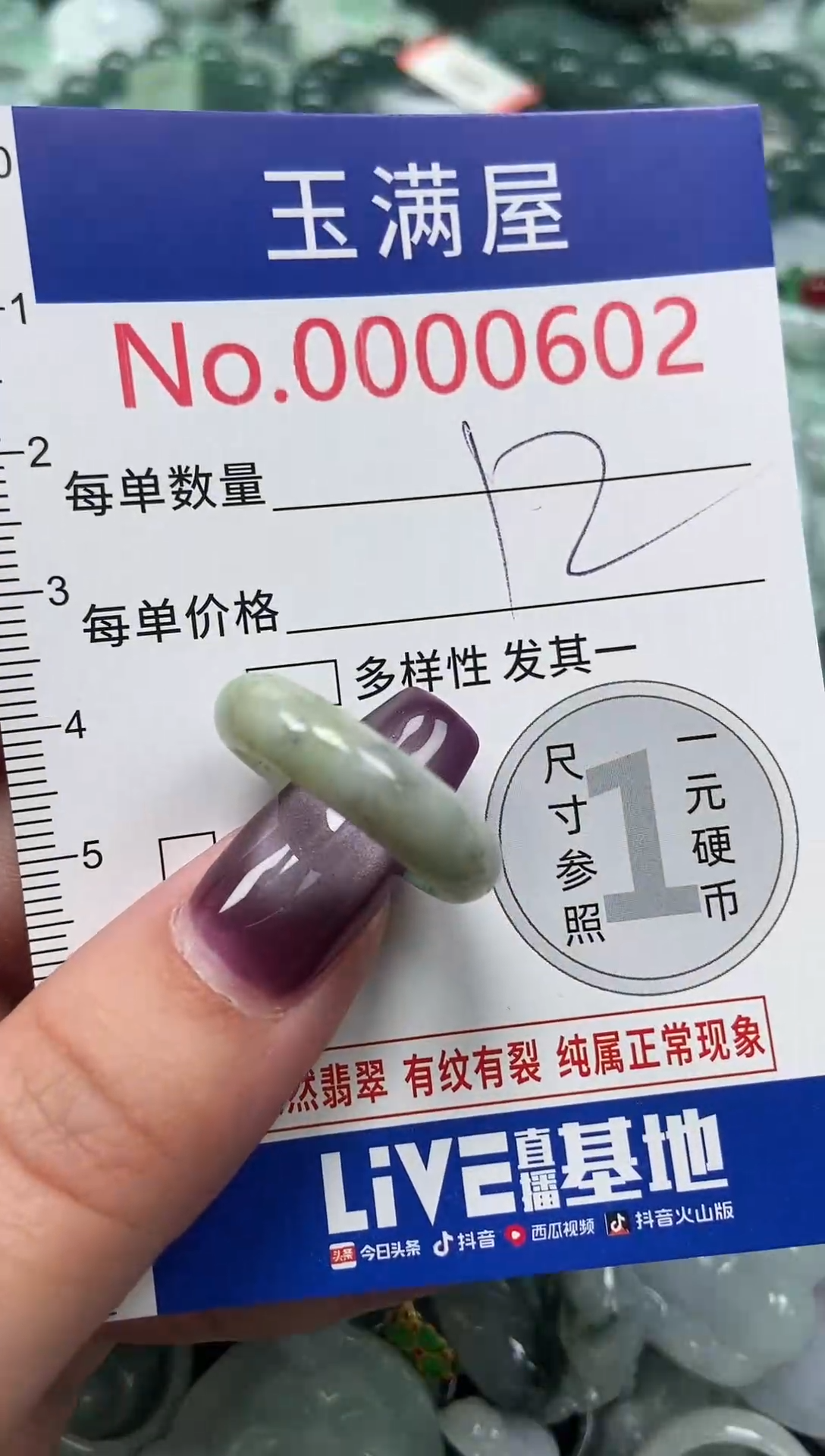 颈饰未镶嵌翡翠602