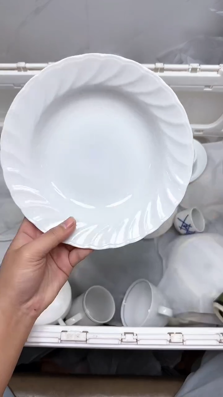 【闪购商品】230回流瓷器默认微瑕，18.8包邮