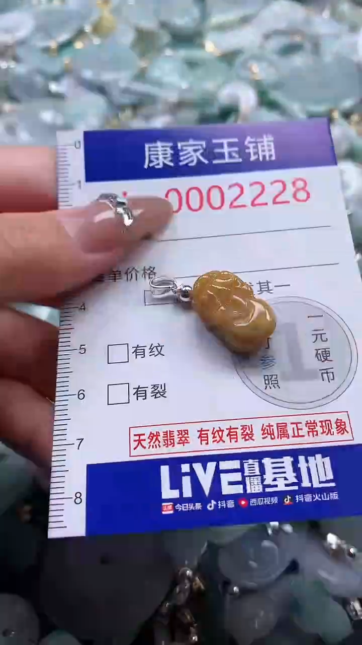 翡翠未镶嵌吊坠(不含链)2228