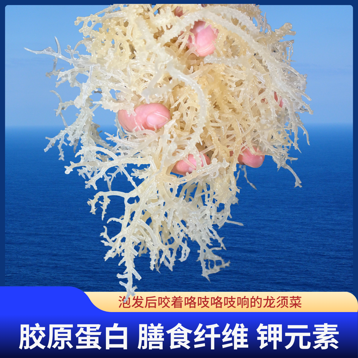 纯干龙须菜鹿角菜海发菜珊瑚菜可凉拌食用