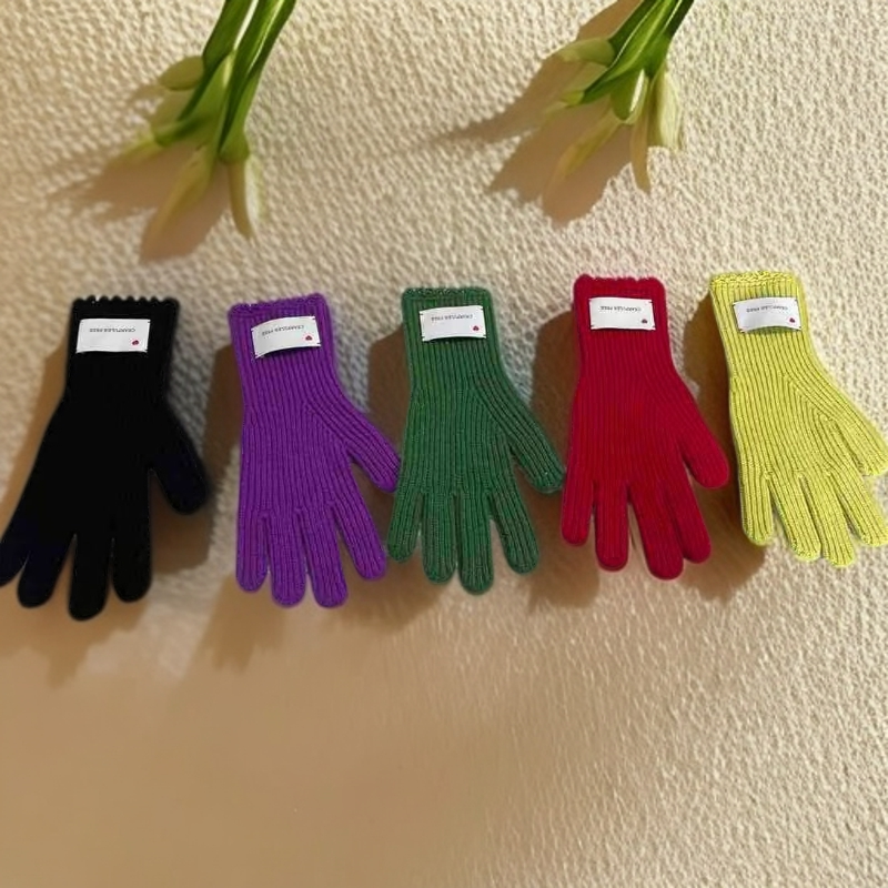 【SFF严选】FLAIRSTA 25冬针织手套13464