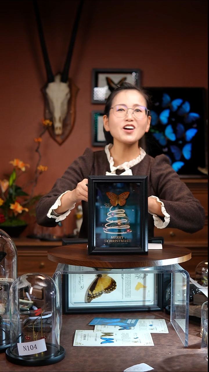 嘿***连N201  豹蛱蝶  圣诞款