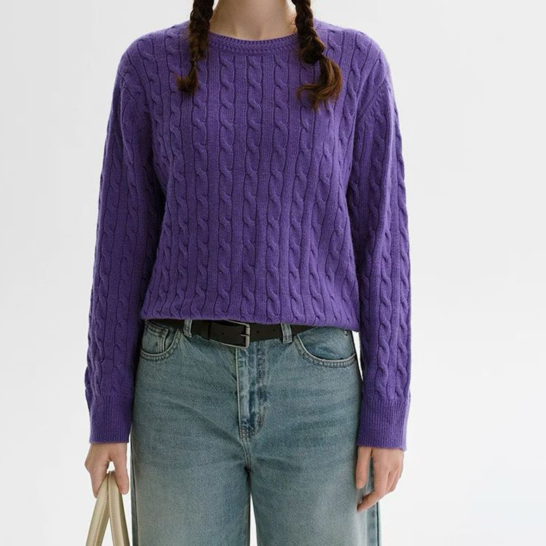 宝丫轻奢  T女式复古简约圆领麻花毛衣针织衫上衣Z325