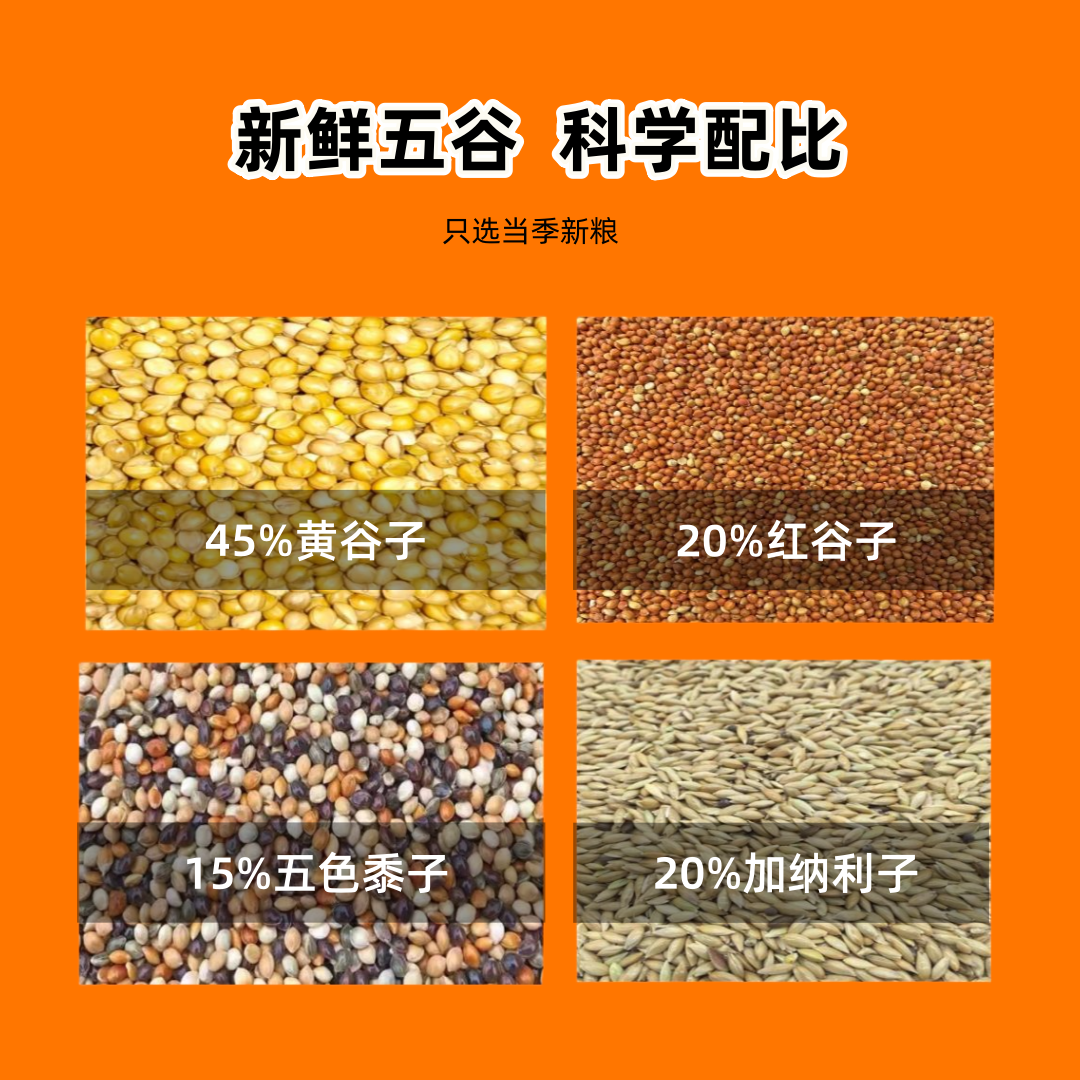 虎皮小型鹦鹉混合粮