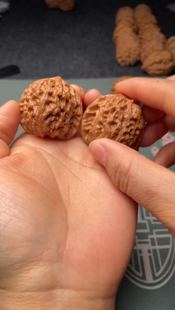 把件文玩核桃w193    龙脉   38尺