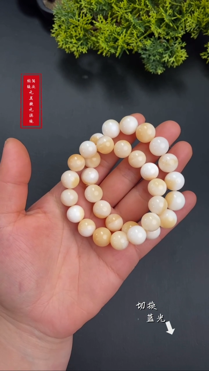 【闪购商品】贝壳（贝母）2未镶嵌新年快乐