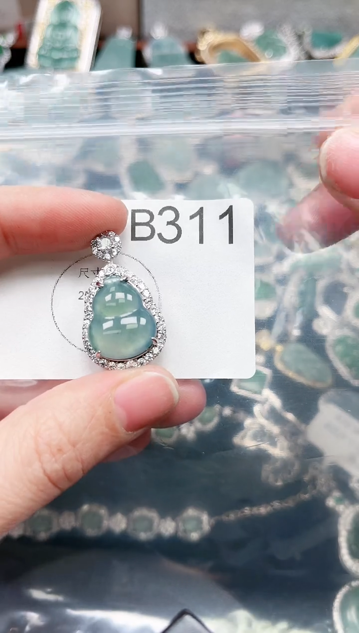 【闪购商品】翡翠颈饰未镶嵌赠皮绳311