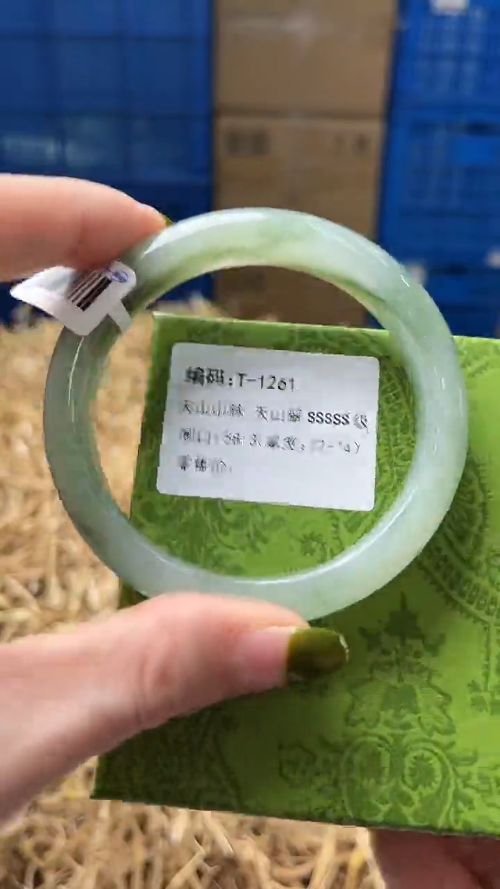 未镶嵌手镯石英质玉T1261