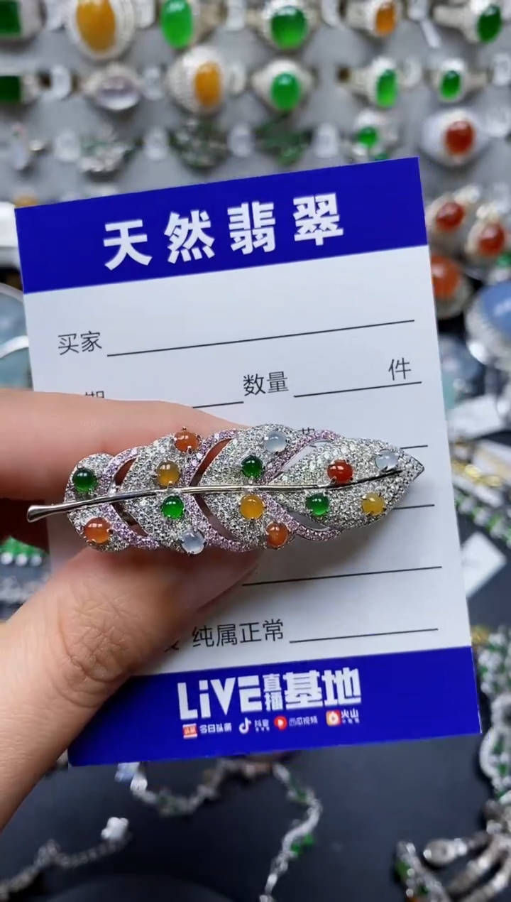 【闪购商品】翡翠颈饰银S925镶嵌0141
