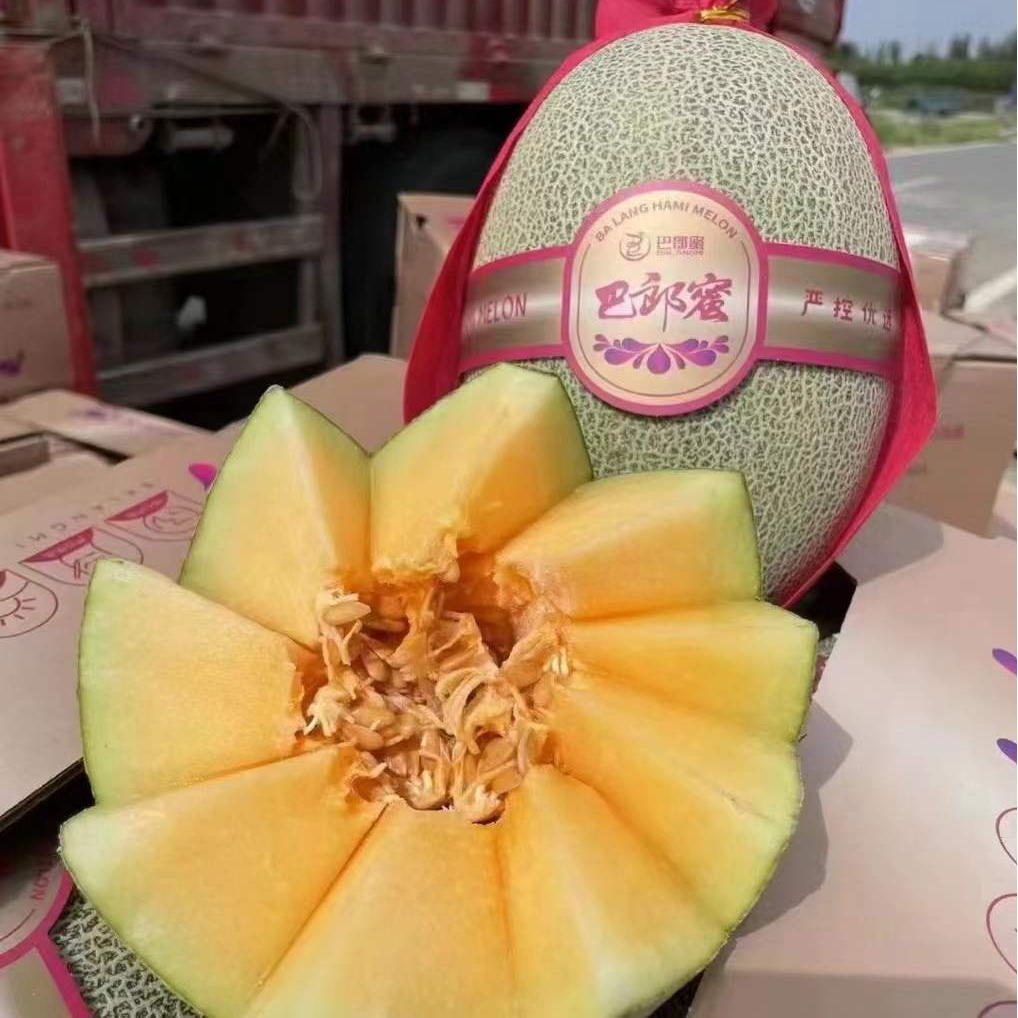 【陈灵岳甄选】"巴郎蜜"蜜瓜脆甜多汁一份2-4粒 净重约7-14斤