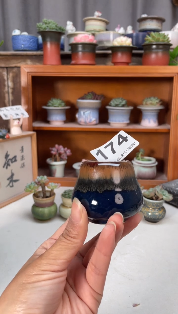 瓷片174知木小芳花盆