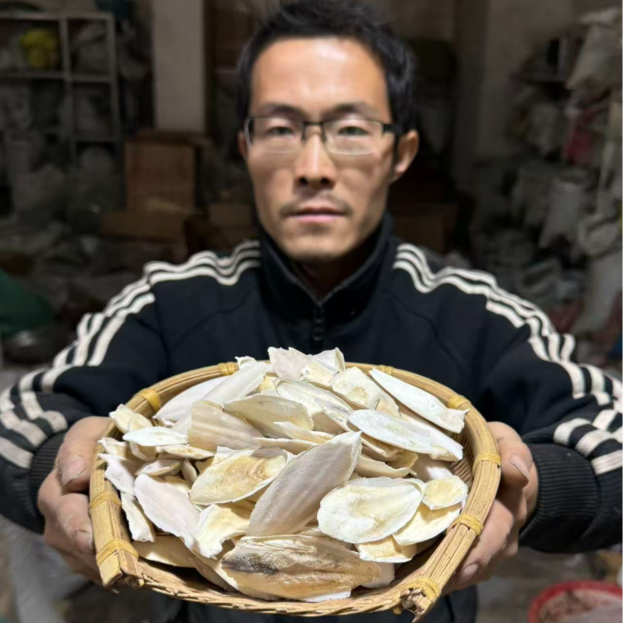 海螵蛸 带骨刺海螵蛸 乌贼骨 大小都有牡