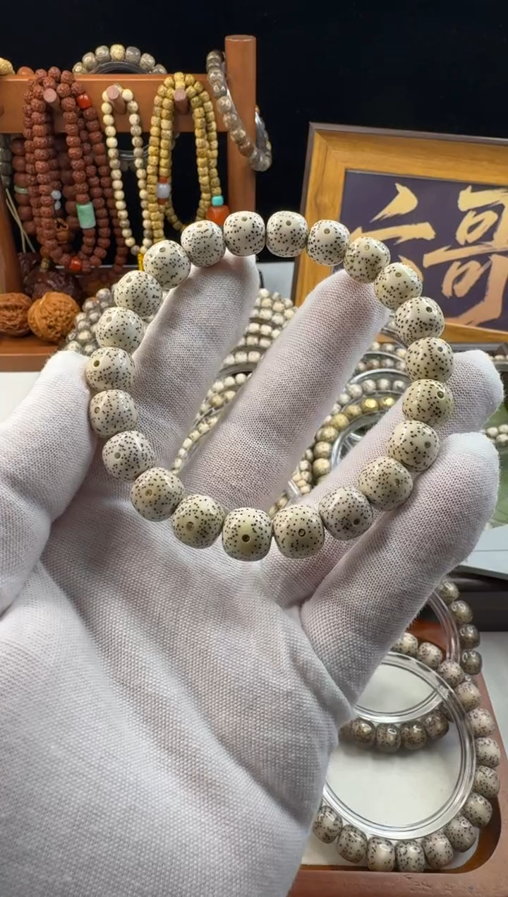 手串星月菩提0**3星月菩提原生态顺白