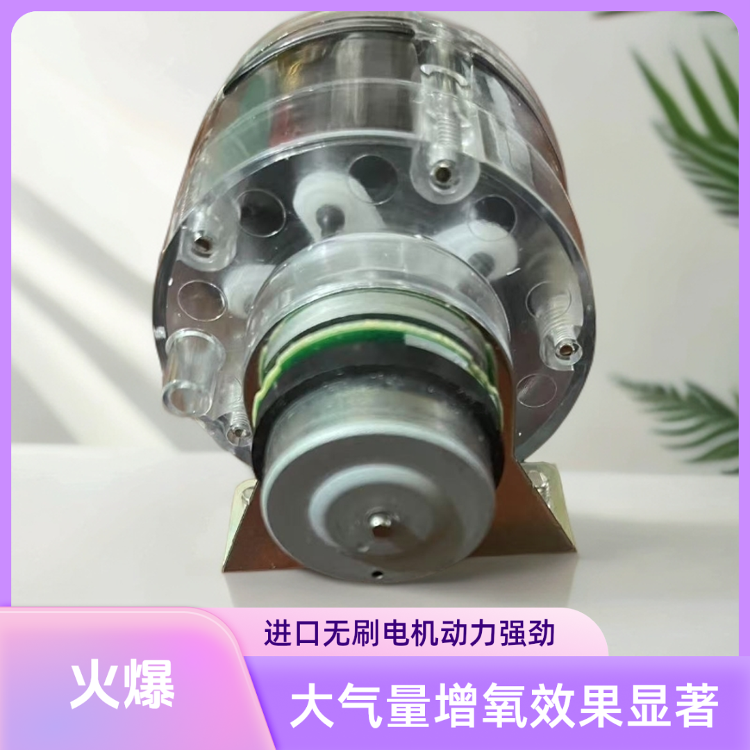 进口BL2717无刷电机改装555透明泵头大气量 增氧泵头 户外增氧泵