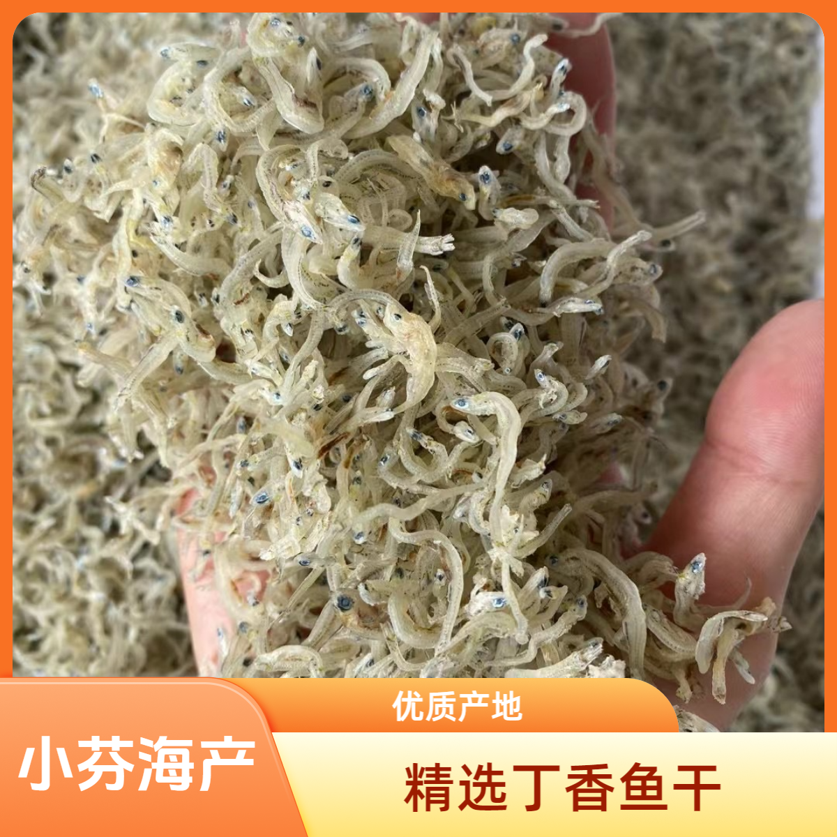 东山岛丁香鱼干250g/500g