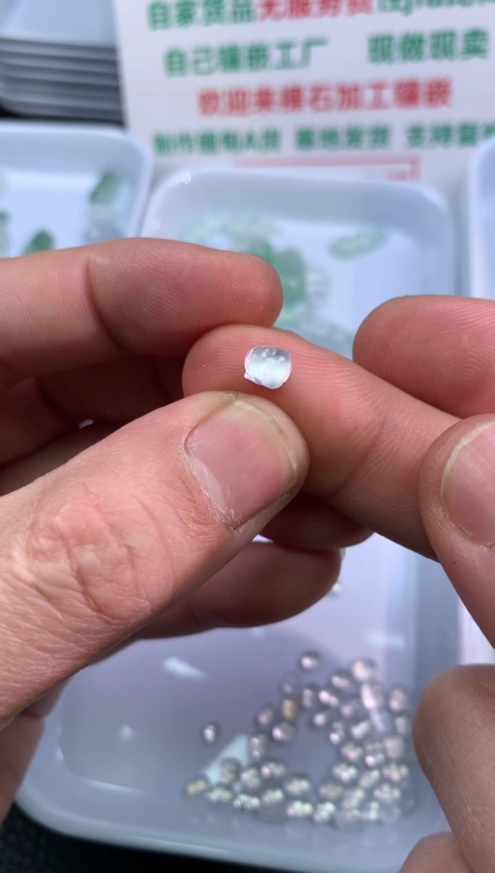 【闪购商品】翡翠颈饰未镶嵌金蝉