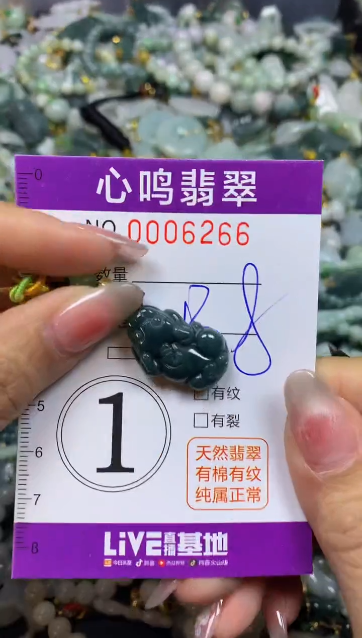 【闪购商品】翡翠颈饰未镶嵌闪购006266
