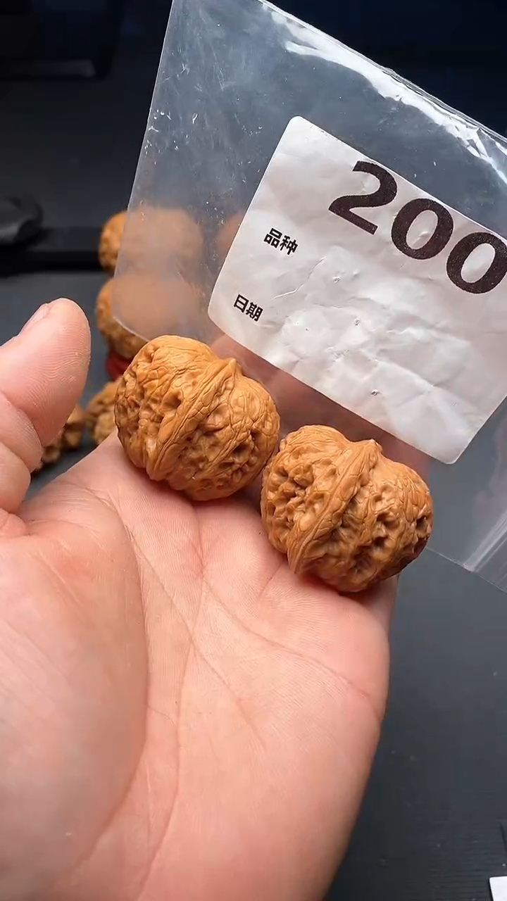 【闪购商品】文玩核桃吊坠200号40尺寸元宝老树